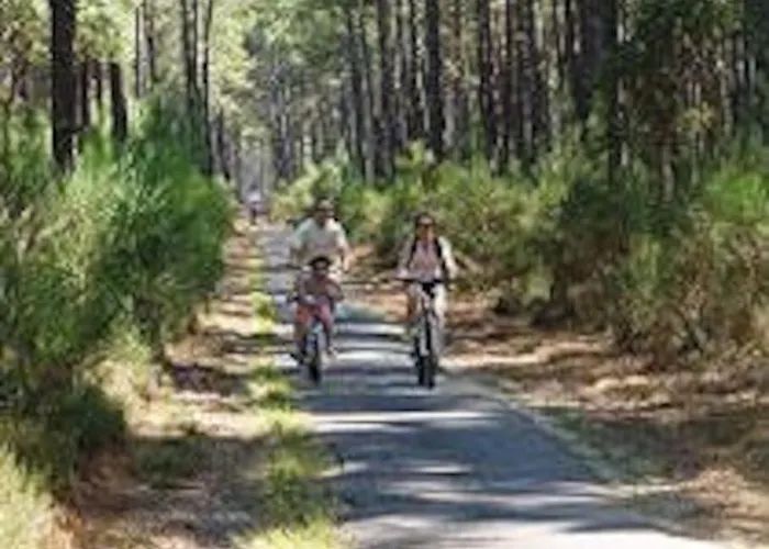 Maison De 4/5 Personnes à Léon, Landes Casa vacanze Léon